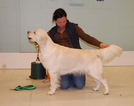 ryhma8_RYP4_232