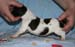 2008_0303_poika_c_02