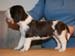 tytto_b_seisotus